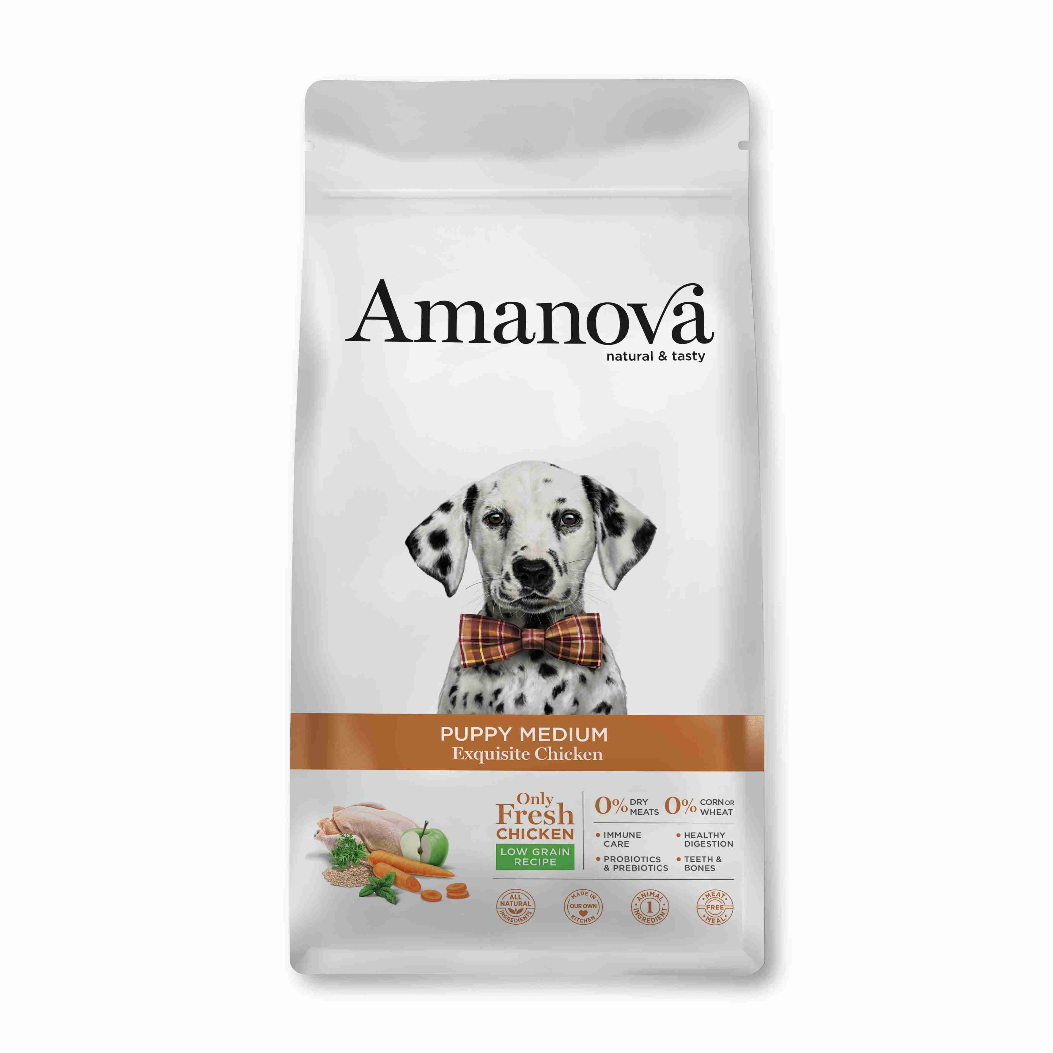 Best Pet Groomer
